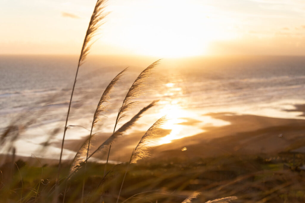 Sunset of Karotahi beach